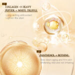 VSHELL Day & Night Face Cream Combo Set - Image 5